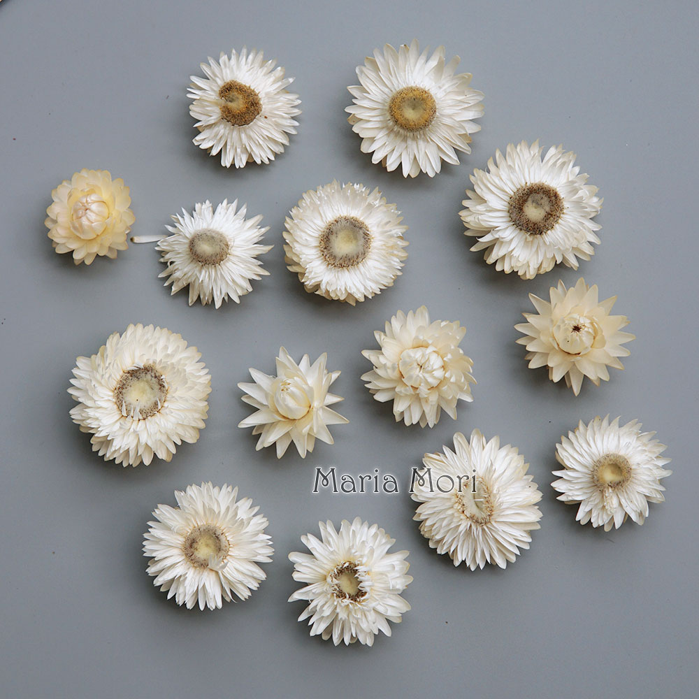Baby Products For Bathing - Natürlicher getrockneter bunter Chrysanthemenkranz, handgefertigter Haarschmuck,